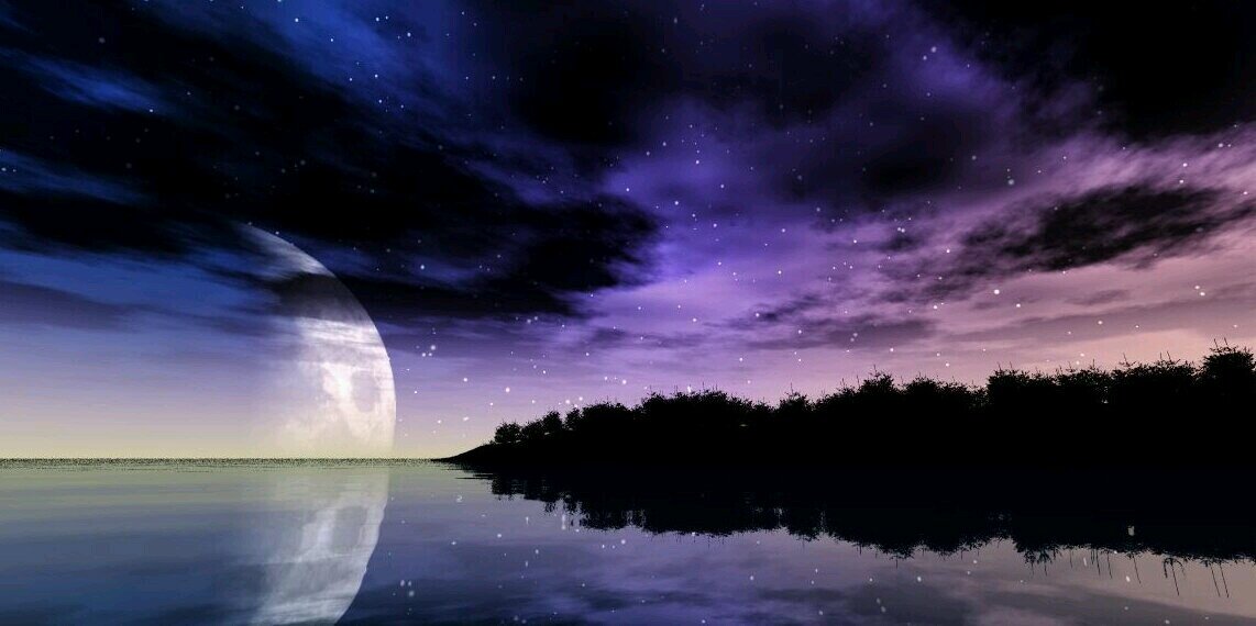 forgetmenot_23's profile banner image