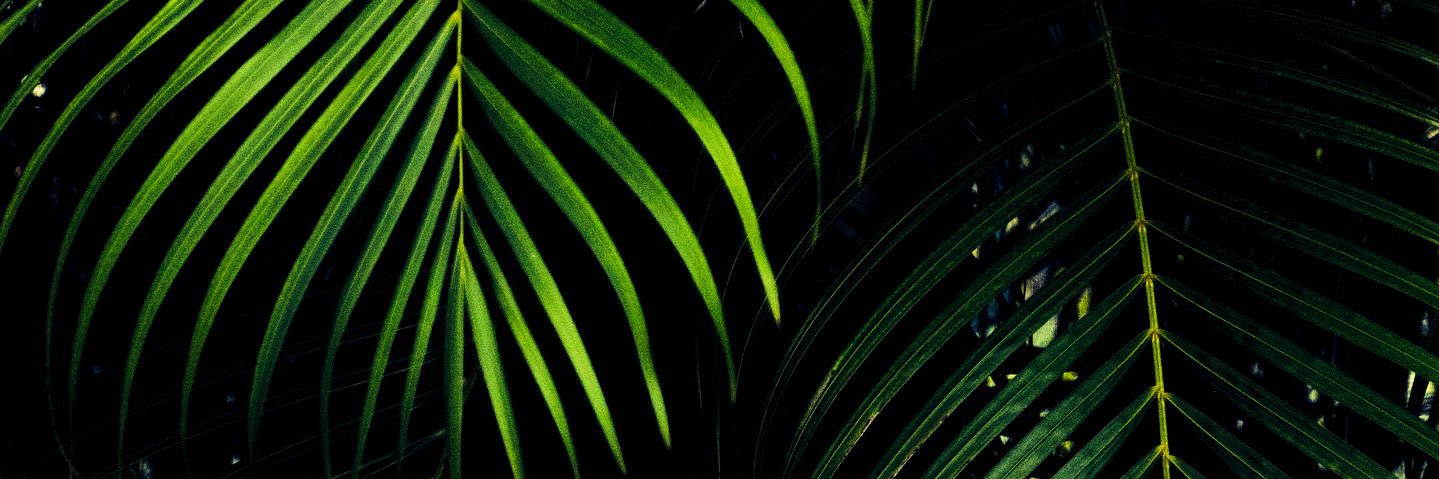 UmDavidLee's profile banner image