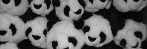 _oooO4's profile banner image