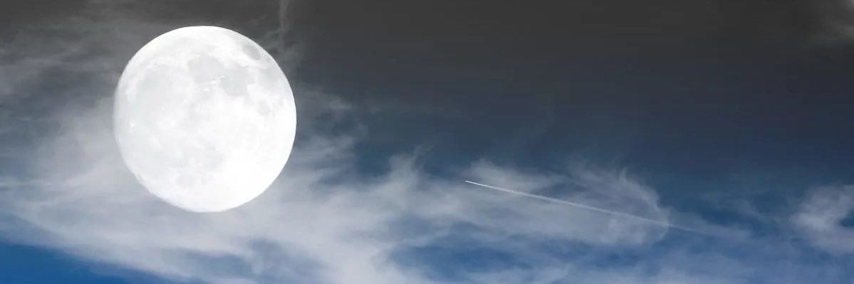 blackfloweco's profile banner image
