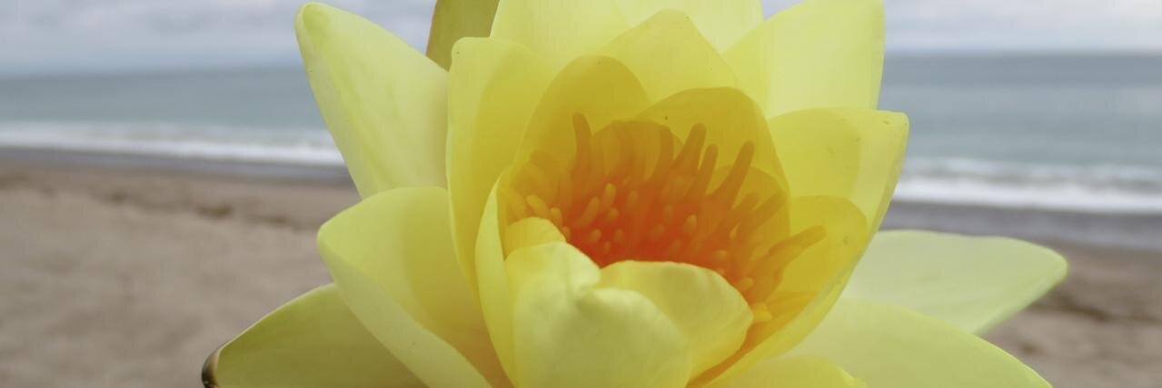 JenFontaine's profile banner image