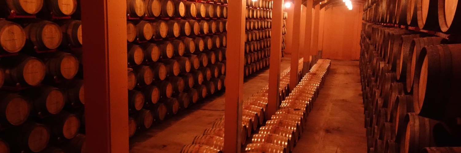 Hacienda Villarta banner