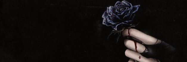 Evohls's profile banner image