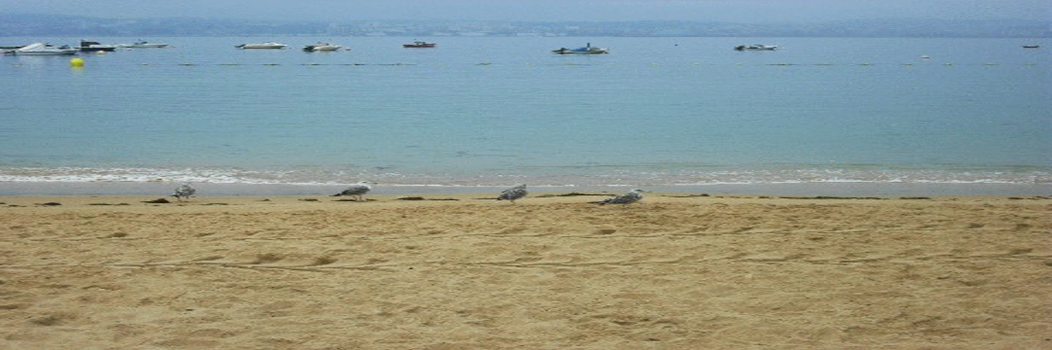 Paissah's profile banner image