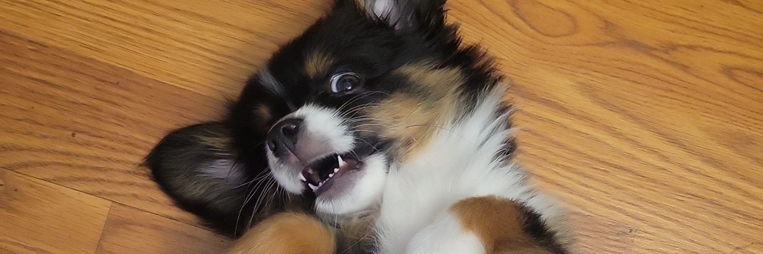 Mariellllaaa's profile banner image