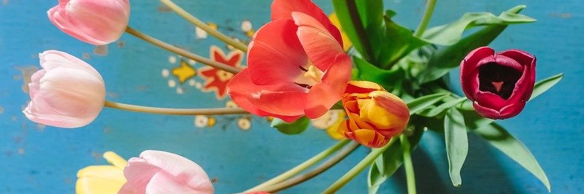 ajbonneau's profile banner image