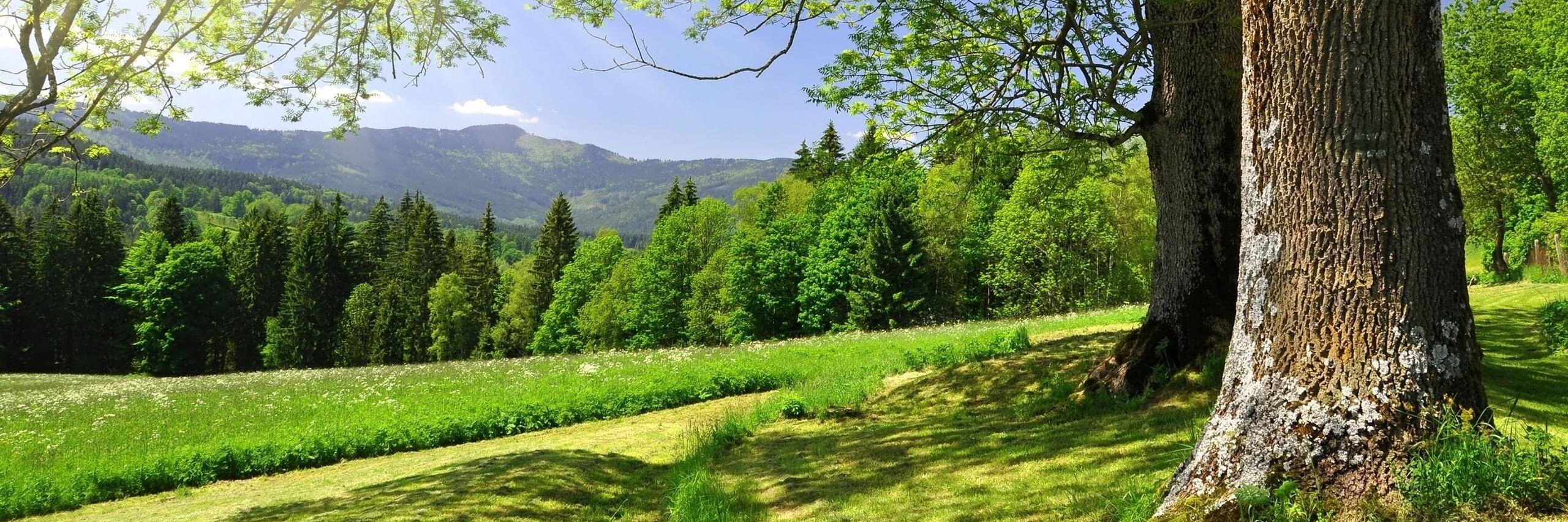 Fietsbenen's profile banner image