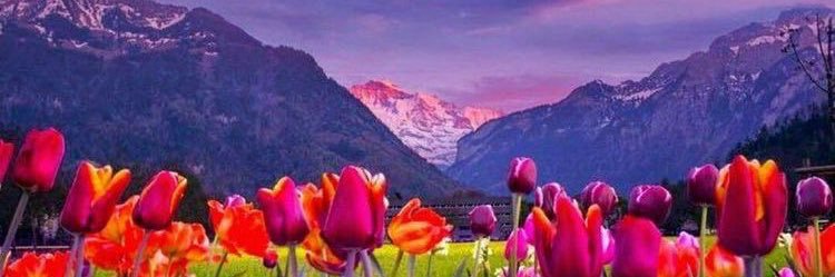 _Abdullah1Khan's profile banner image