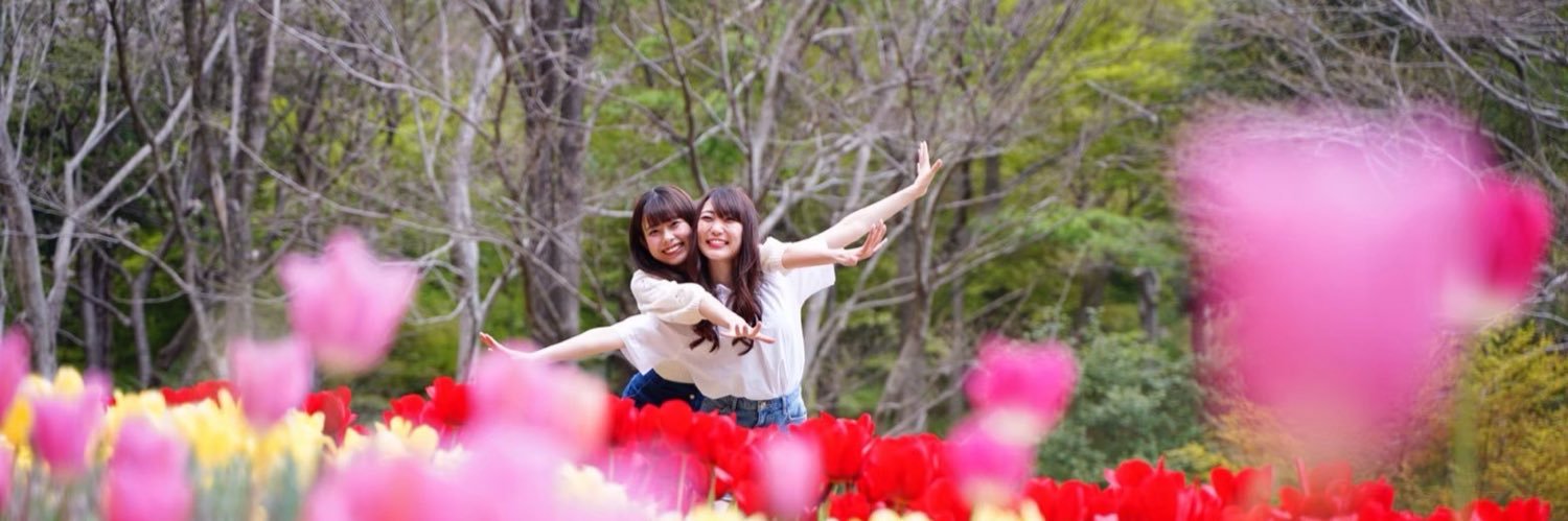 811284916's profile banner image