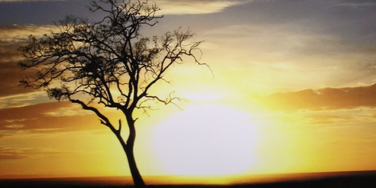 strivy79's profile banner image