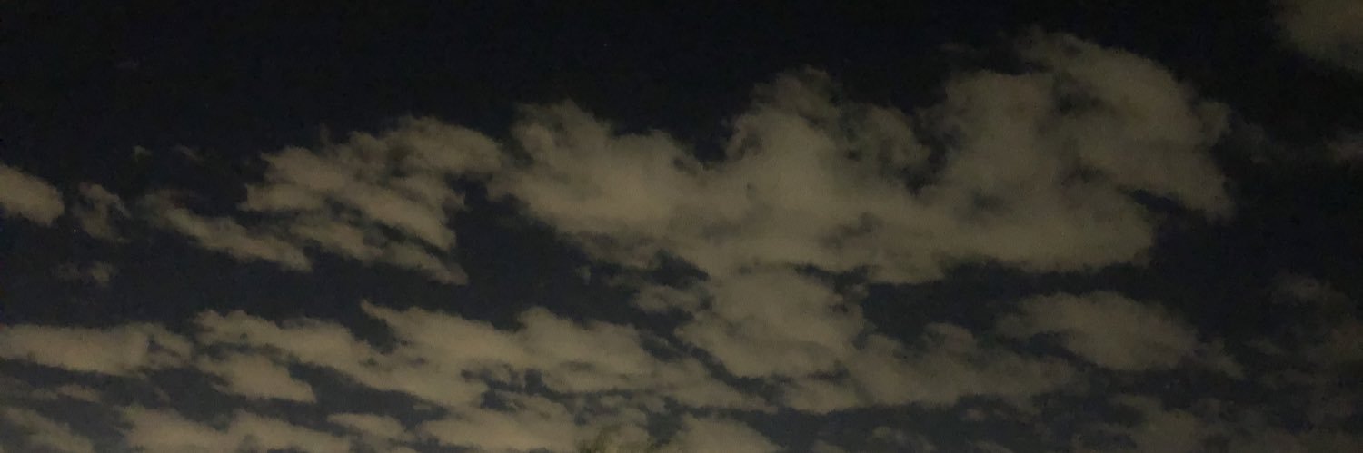 JustSimplyLily's profile banner image