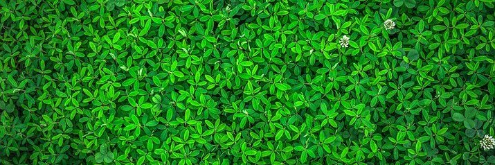 Richard_Frued's profile banner image