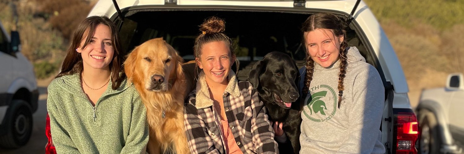 JennShenbaum's profile banner image