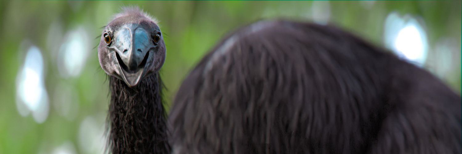 Jonathan Harris (Comms OPEN) banner