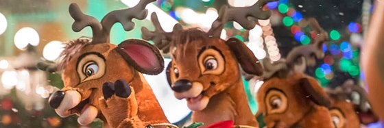 FurryGang1's profile banner image
