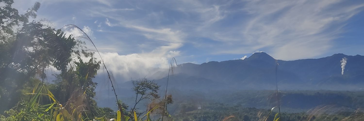 AlecDwayneQ's profile banner image