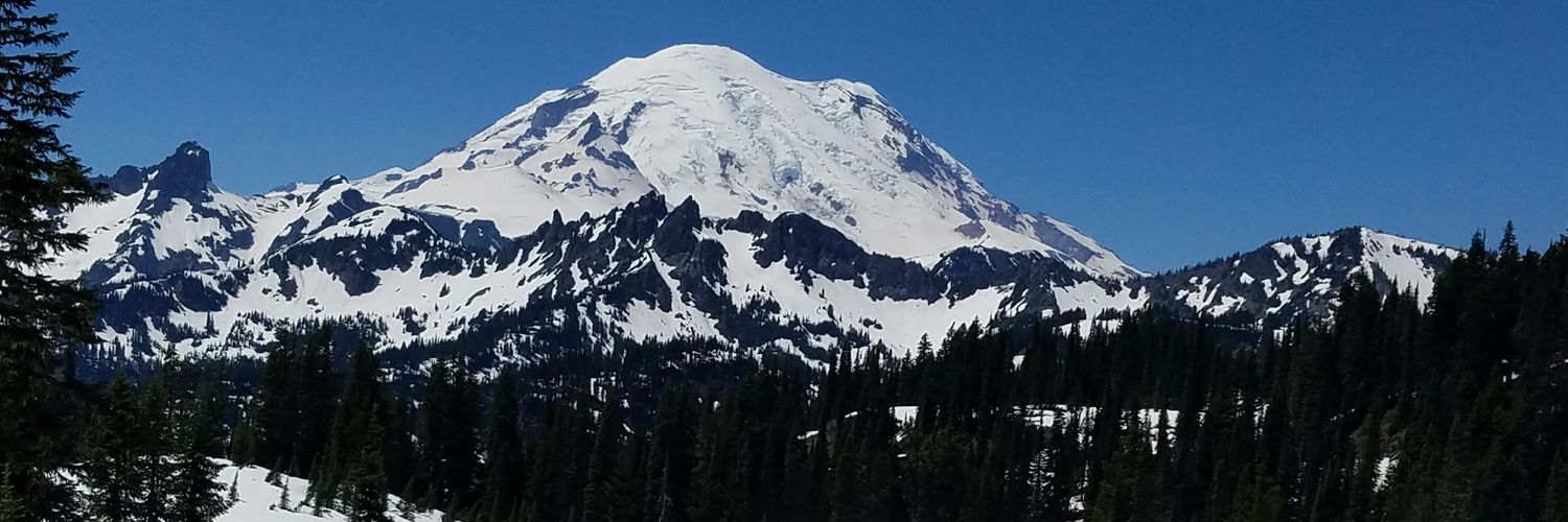PreciousZavara's profile banner image