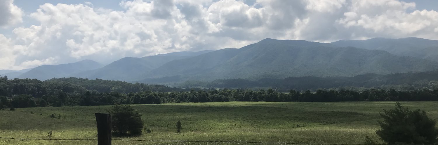 Taylor Nicholson banner