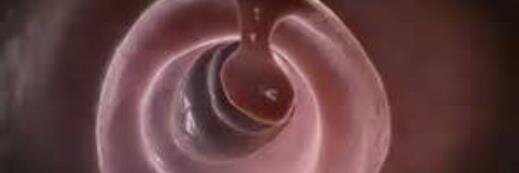 Dr Kafir C Sharp banner