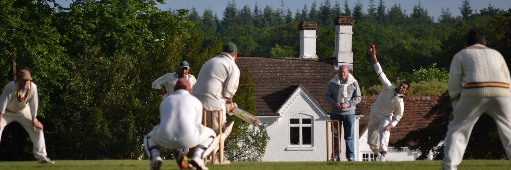 elthamcricket's profile banner image