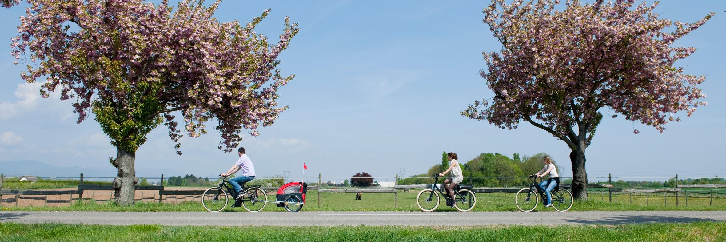 Alsa Cyclo Tours banner