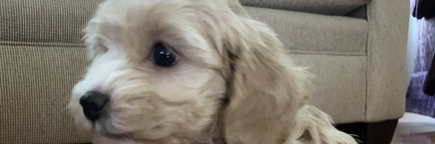 Billy Michael Dyer banner