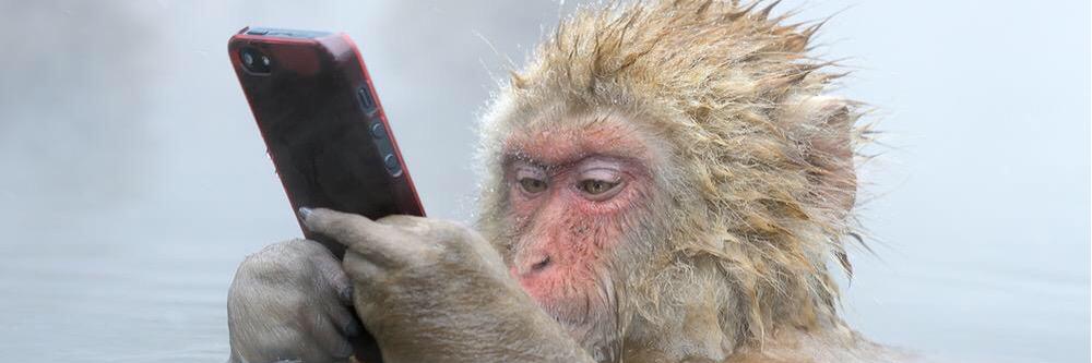 Kalyan Ramanathan banner