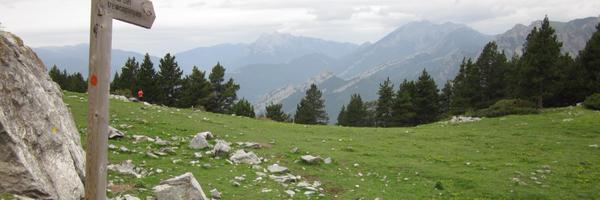 PauRieraA Profile Banner