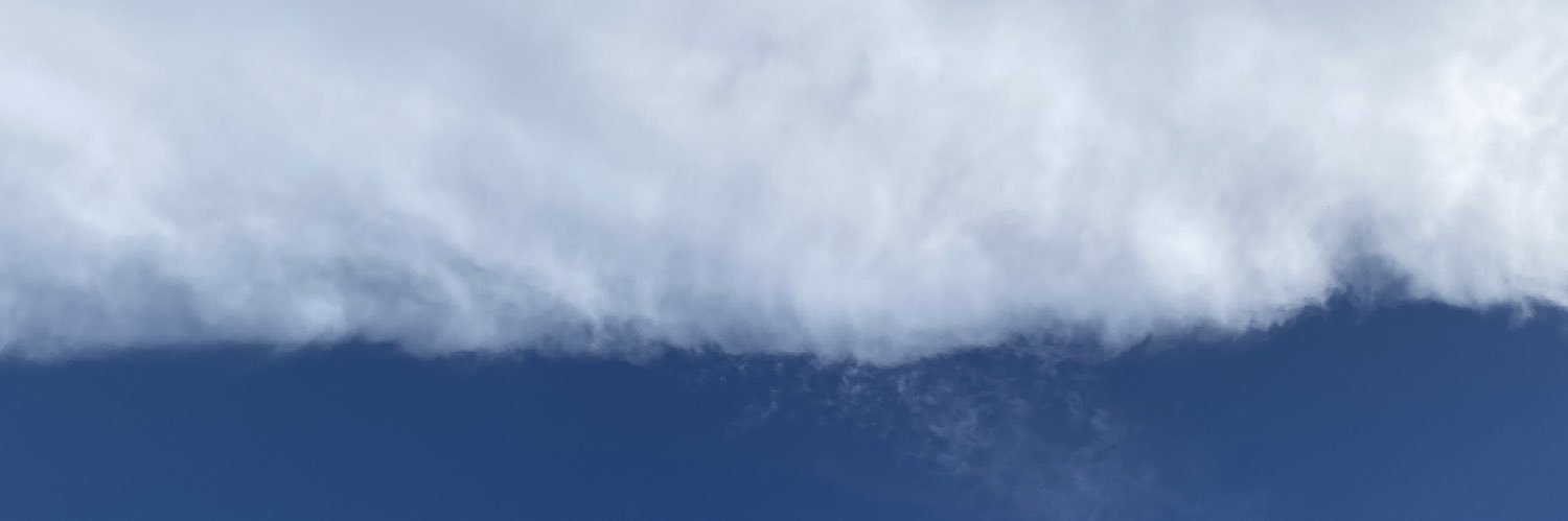 Arola AA banner