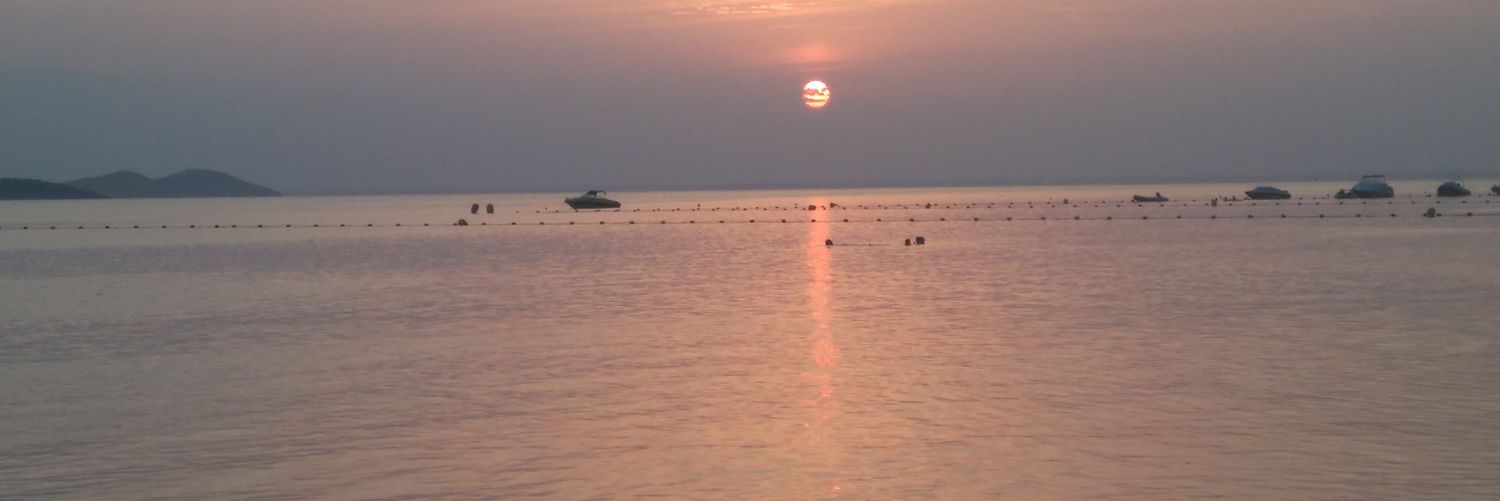inma8007's profile banner image