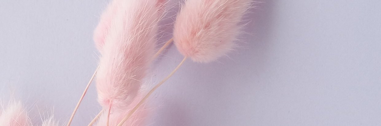 SydNicolee's profile banner image