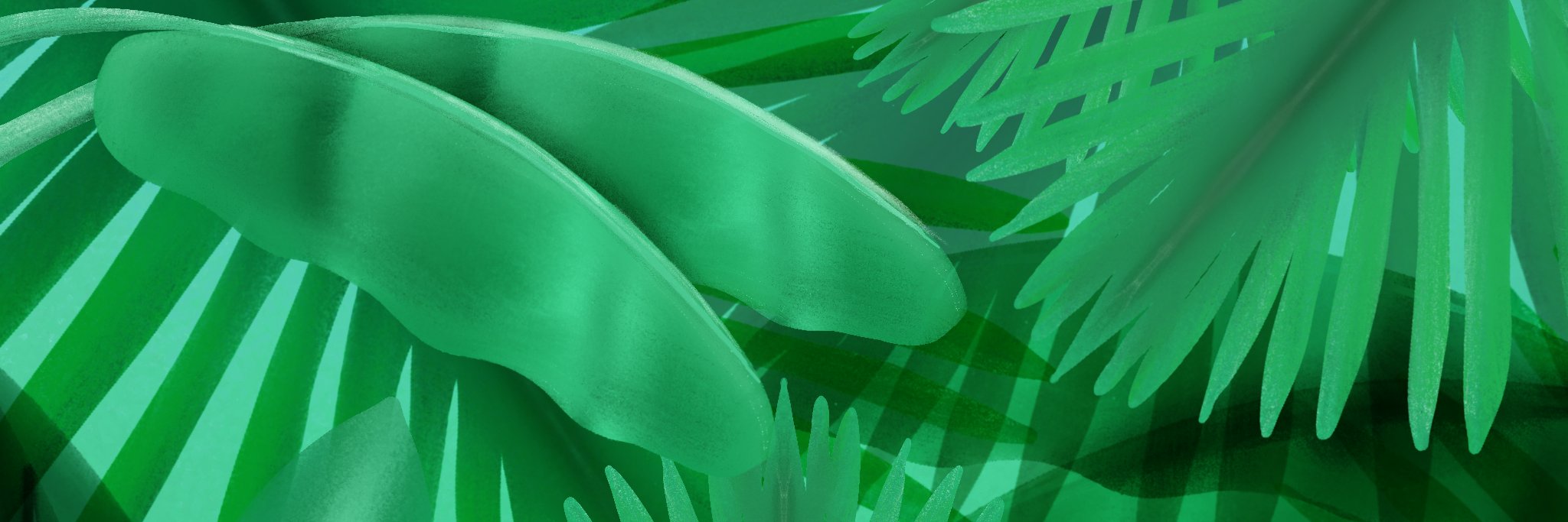 llpatin's profile banner image