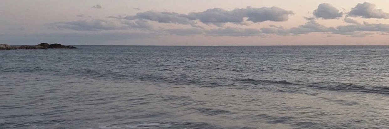 joana_dbs's profile banner image