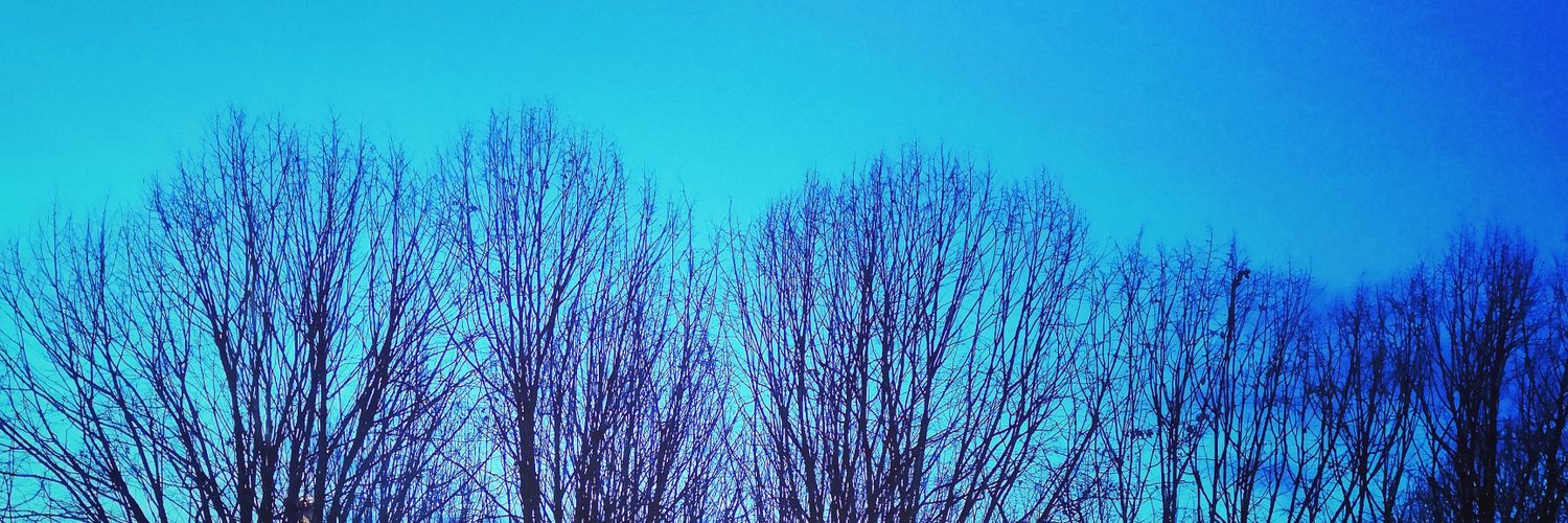 Rafaella León banner