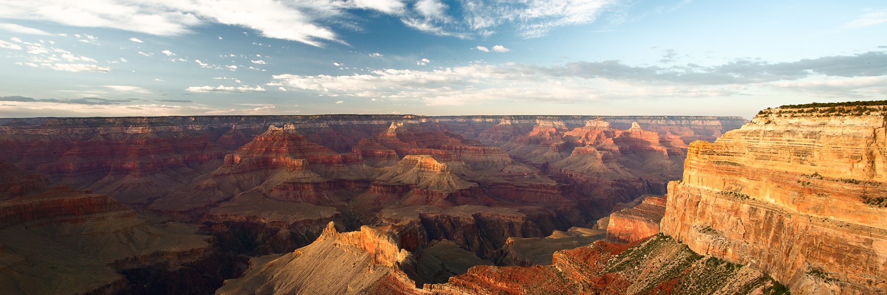 Jonathan Solórzano-Hamilton banner
