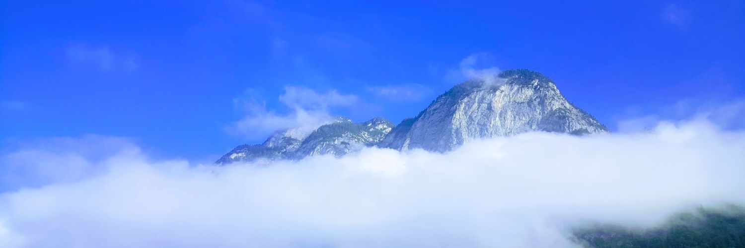 bachhcab's profile banner image