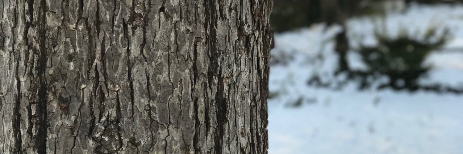 Kostielney's profile banner image