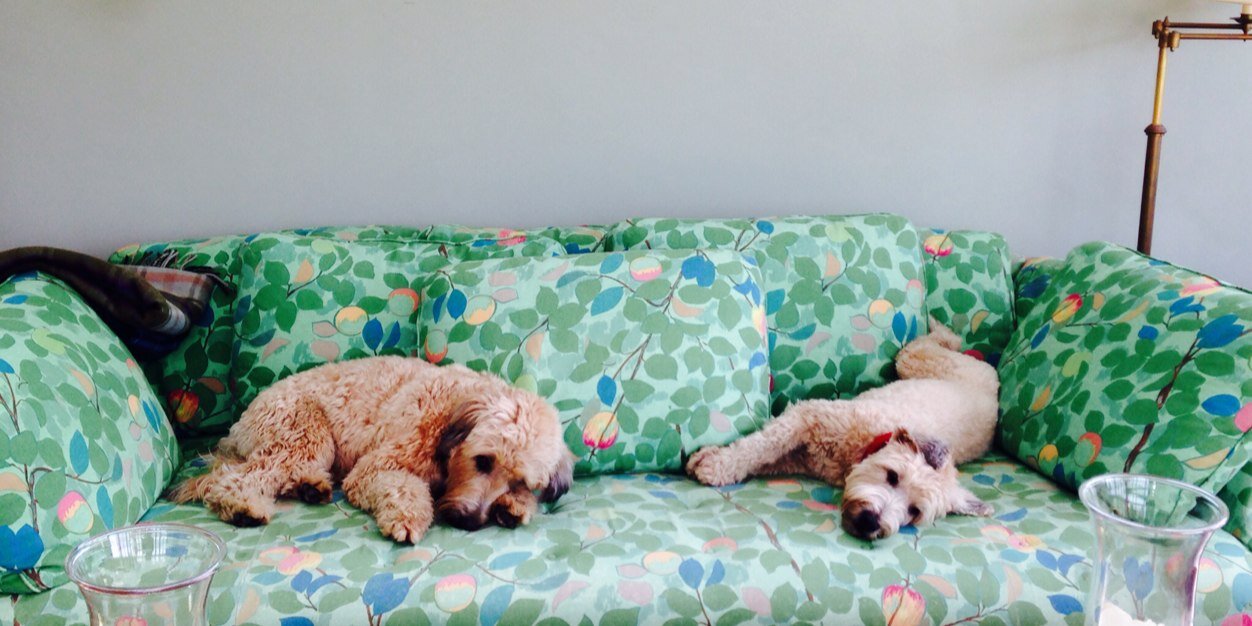 Victoria Robey banner