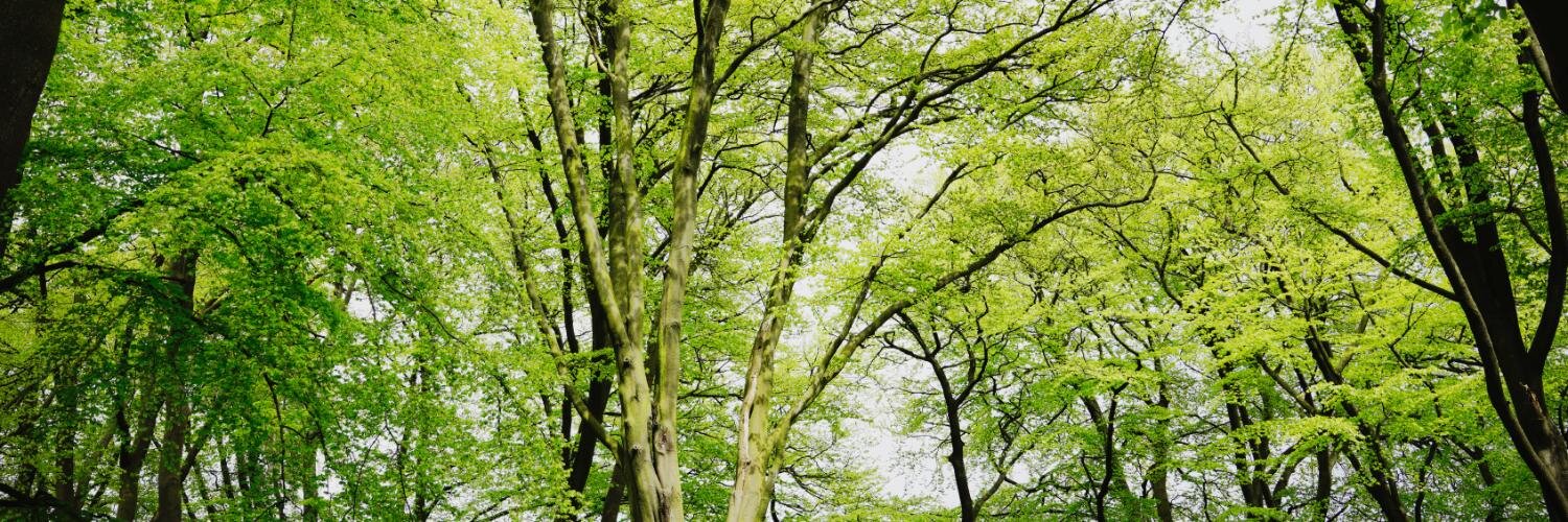 MilutoLtd's profile banner image