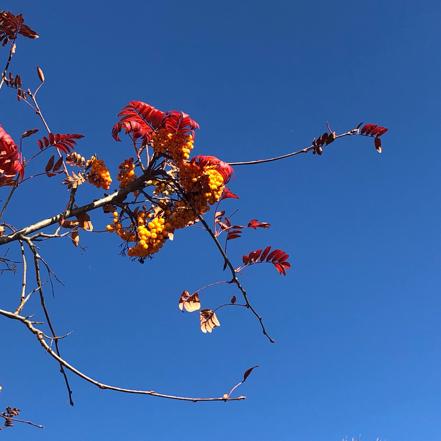 helenrmccormack's profile banner image