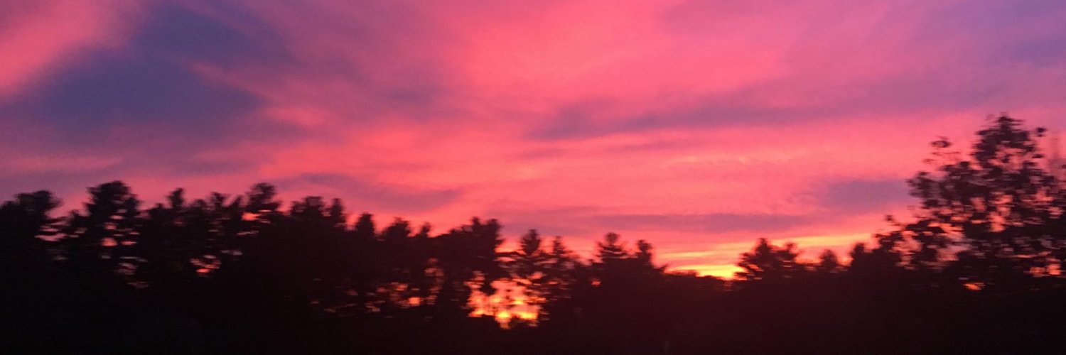cgrinsztein's profile banner image