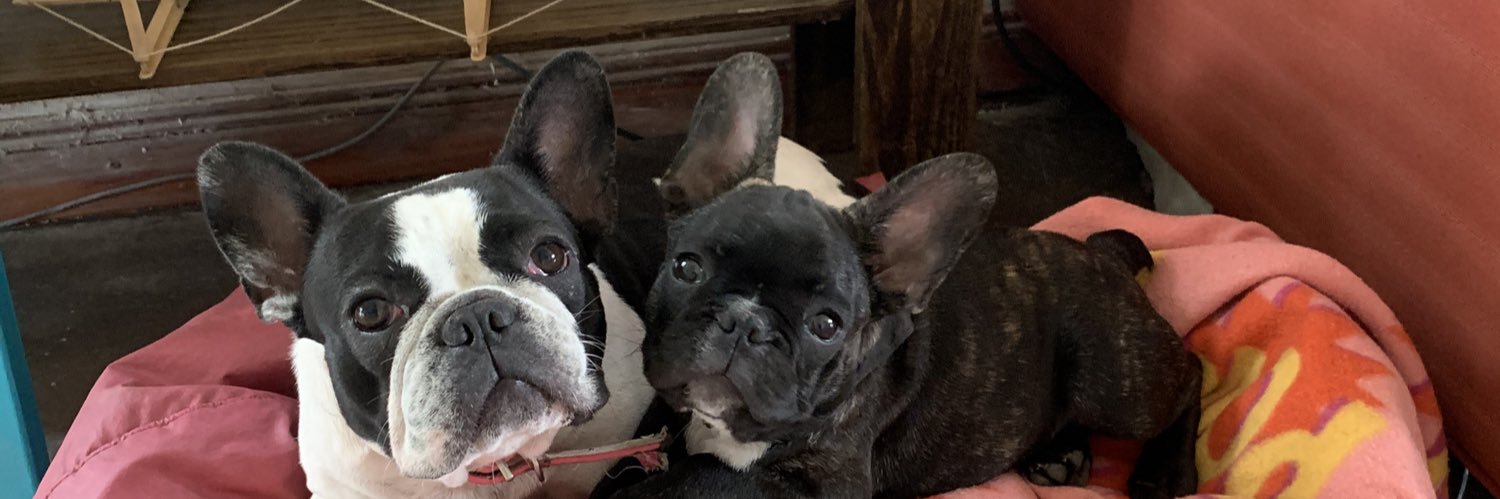 ᴀɢᴜɪᴛᴏꜱ banner