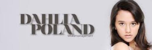 dahviapoland's profile banner image