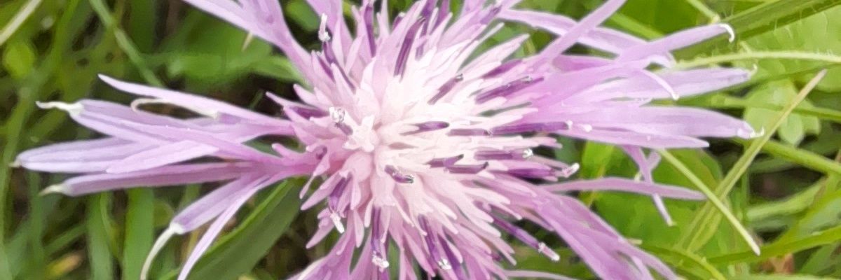benbilmem3444's profile banner image