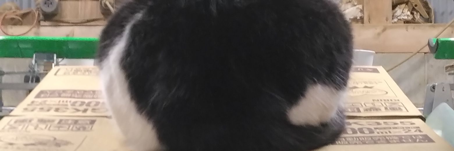 theokemoai's profile banner image