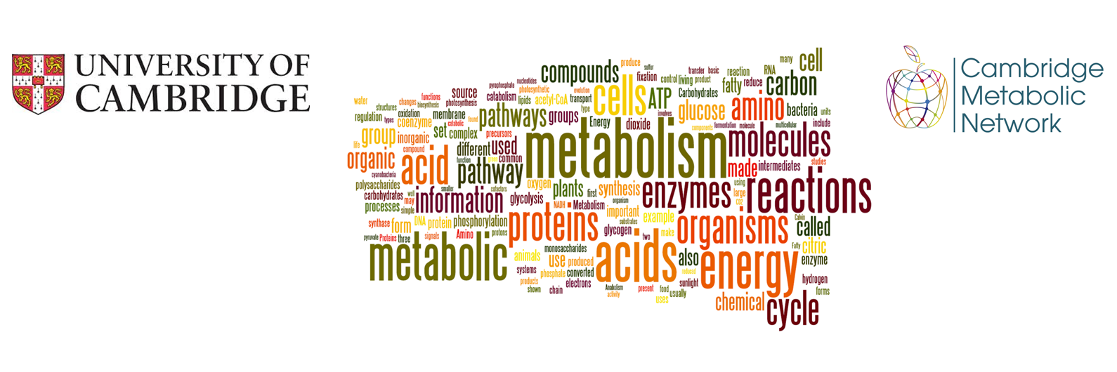 Cambridge Metabolism banner