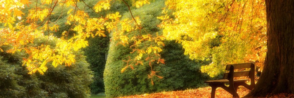 noranipip's profile banner image