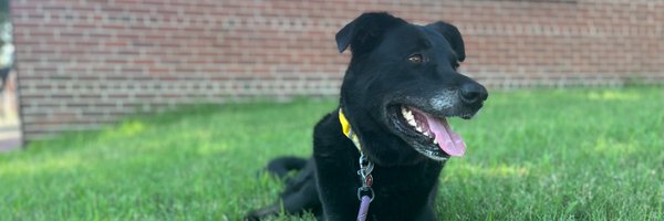 MuzzMuzzington Profile Banner