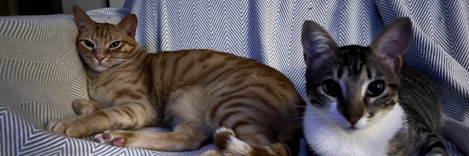 schmitz_40's profile banner image