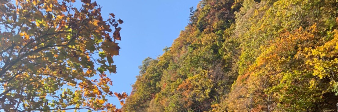 attake2501's profile banner image